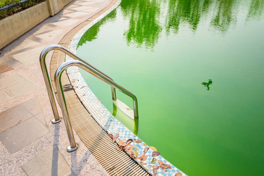 Help! My pool has turned green!
