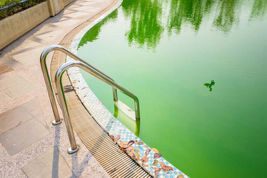 Help! My pool has turned green!
