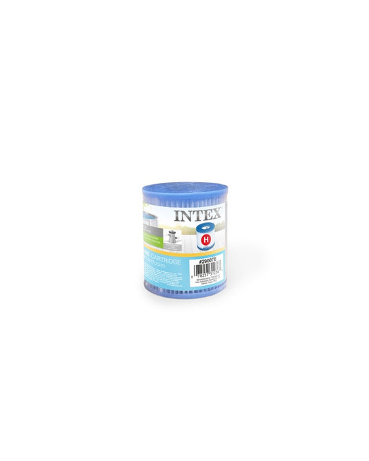 Intex H Cartridge Filter