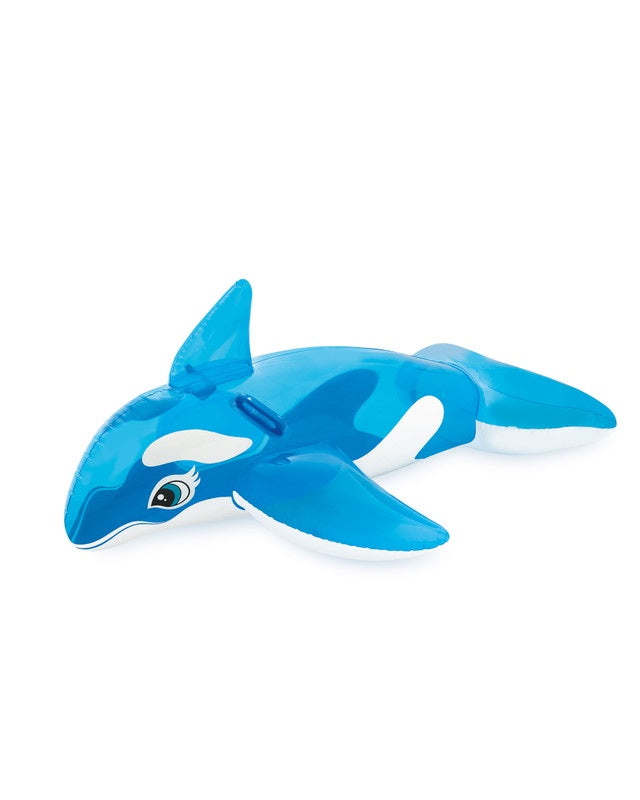 Lil Whale