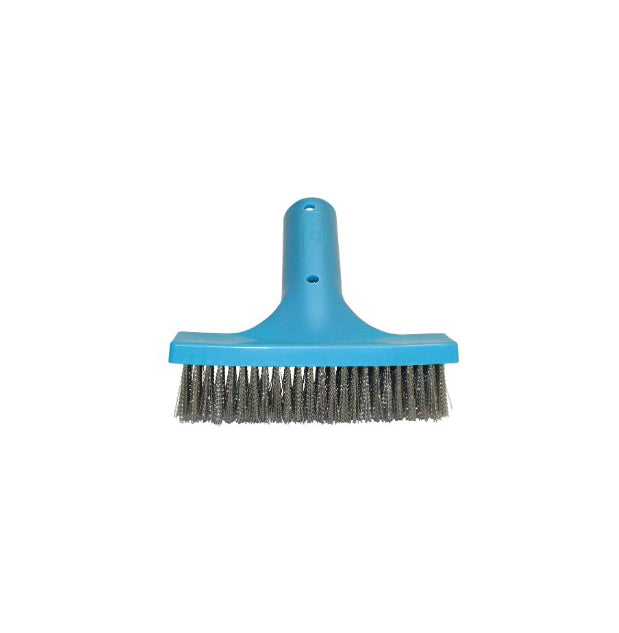 Algae Brush 6'' Stainless Steel